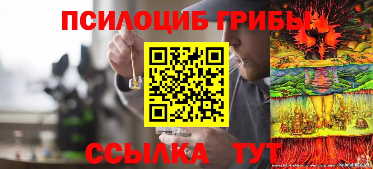 Псилоцибиновые грибы Psilocybine cubensis Алапаевск