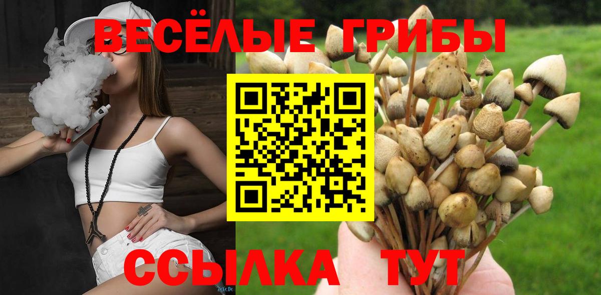 Галлюциногенные грибы GOLDEN TEACHER  Вход с VPN  купить закладку  Псилоцибиновые грибы мухоморы  Алапаевск 